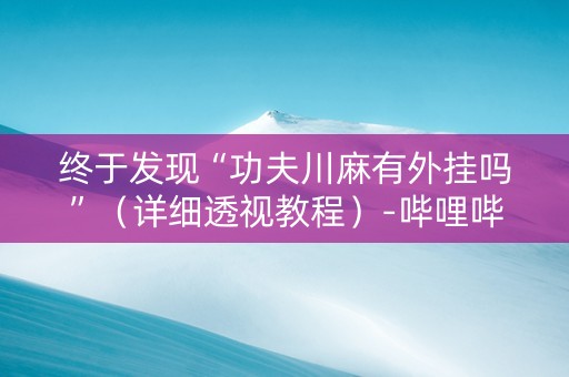 终于发现“功夫川麻有外挂吗”（详细透视教程）-哔哩哔哩