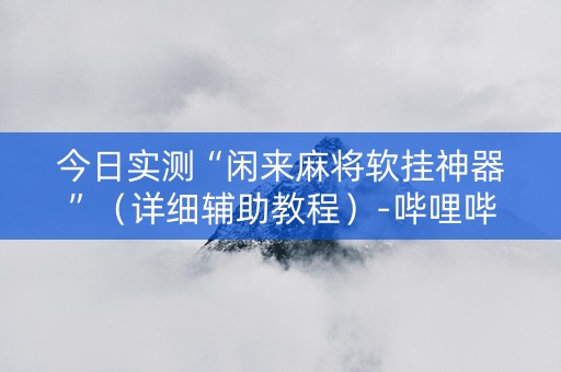 今日实测“闲来麻将软挂神器”（详细辅助教程）-哔哩哔哩