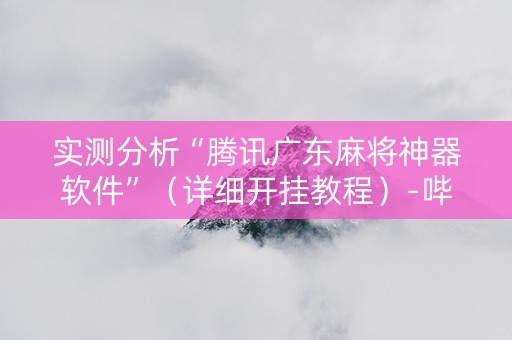 实测分析“腾讯广东麻将神器软件”（详细开挂教程）-哔哩哔哩