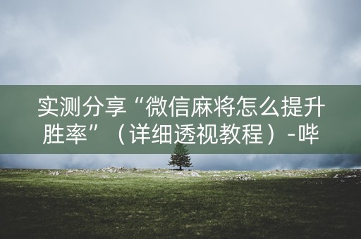 实测分享“微信麻将怎么提升胜率”（详细透视教程）-哔哩哔哩