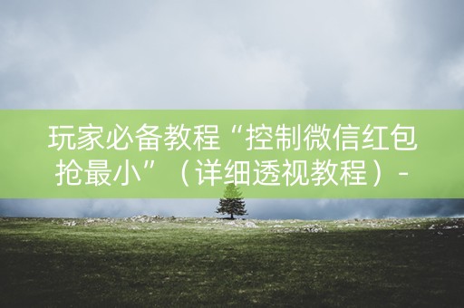 玩家必备教程“控制微信红包抢最小”（详细透视教程）-哔哩哔哩