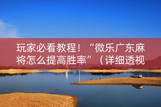 玩家必看教程！“微乐广东麻将怎么提高胜率”（详细透视教程）-哔哩哔哩