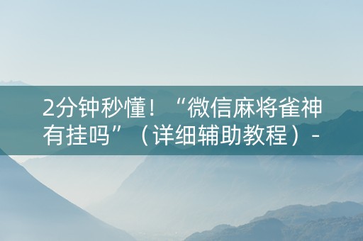 2分钟秒懂！“微信麻将雀神有挂吗”（详细辅助教程）-哔哩哔哩