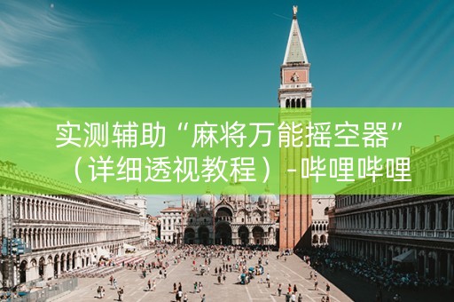 实测辅助“麻将万能摇空器”（详细透视教程）-哔哩哔哩