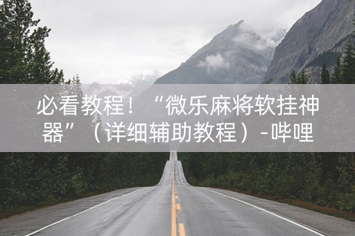 必看教程！“微乐麻将软挂神器”（详细辅助教程）-哔哩哔哩