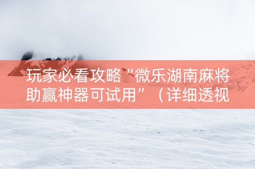 玩家必看攻略“微乐湖南麻将助赢神器可试用”（详细透视教程）-哔哩哔哩