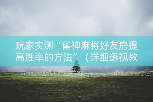玩家实测“雀神麻将好友房提高胜率的方法”（详细透视教程）-哔哩哔哩
