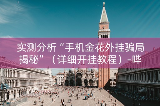 实测分析“手机金花外挂骗局揭秘”（详细开挂教程）-哔哩哔哩