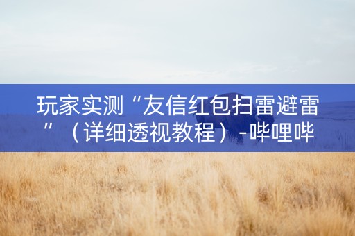 玩家实测“友信红包扫雷避雷”（详细透视教程）-哔哩哔哩