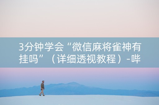 3分钟学会“微信麻将雀神有挂吗”（详细透视教程）-哔哩哔哩