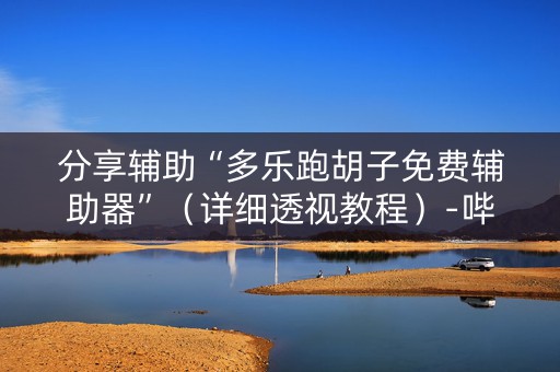 分享辅助“多乐跑胡子免费辅助器”（详细透视教程）-哔哩哔哩