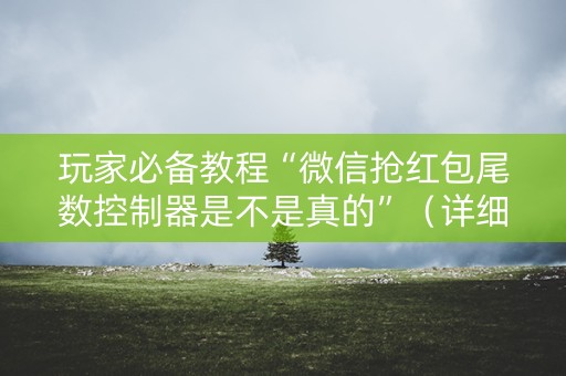 玩家必备教程“微信抢红包尾数控制器是不是真的”（详细透视教程）-哔哩哔哩