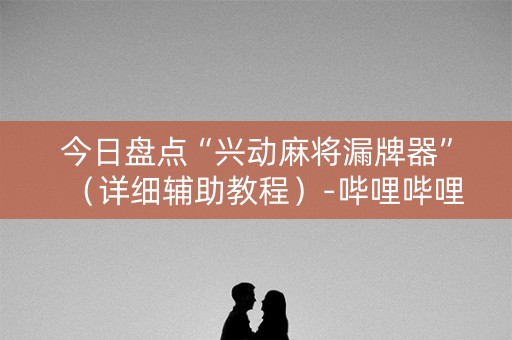今日盘点“兴动麻将漏牌器”（详细辅助教程）-哔哩哔哩