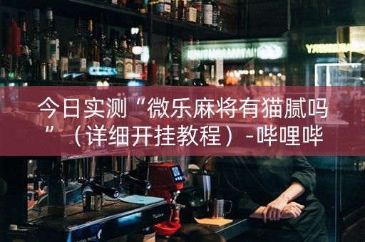 今日实测“微乐麻将有猫腻吗”（详细开挂教程）-哔哩哔哩