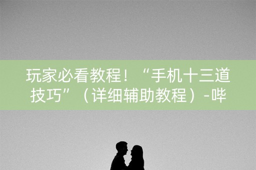 玩家必看教程！“手机十三道技巧”（详细辅助教程）-哔哩哔哩