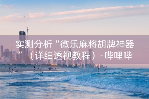 实测分析“微乐麻将胡牌神器”（详细透视教程）-哔哩哔哩