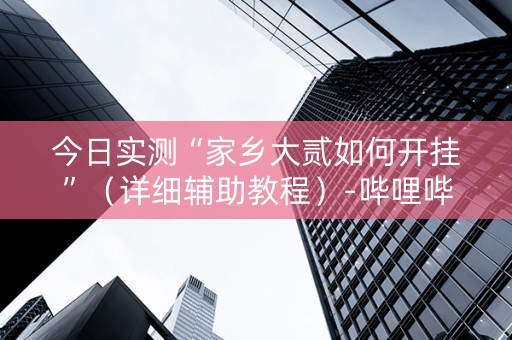 今日实测“家乡大贰如何开挂”（详细辅助教程）-哔哩哔哩