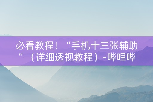 必看教程！“手机十三张辅助”（详细透视教程）-哔哩哔哩