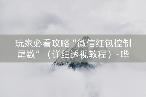 玩家必看攻略“微信红包控制尾数”（详细透视教程）-哔哩哔哩