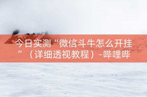 今日实测“微信斗牛怎么开挂”（详细透视教程）-哔哩哔哩
