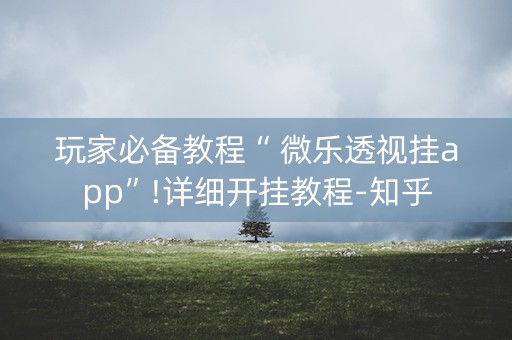 玩家必备教程“ 微乐透视挂app”!详细开挂教程-知乎