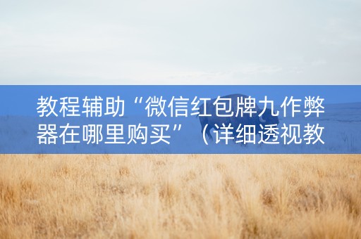 教程辅助“微信红包牌九作弊器在哪里购买”（详细透视教程）-哔哩哔哩