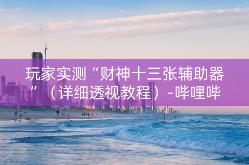 玩家实测“财神十三张辅助器”（详细透视教程）-哔哩哔哩