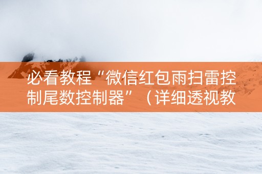 必看教程“微信红包雨扫雷控制尾数控制器”（详细透视教程）-哔哩哔哩