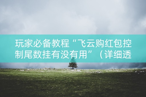 玩家必备教程“飞云购红包控制尾数挂有没有用”（详细透视教程）-哔哩哔哩