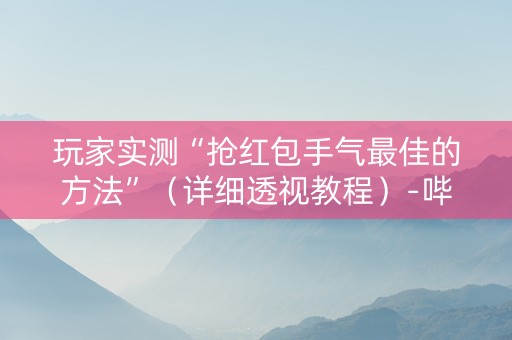 玩家实测“抢红包手气最佳的方法”（详细透视教程）-哔哩哔哩