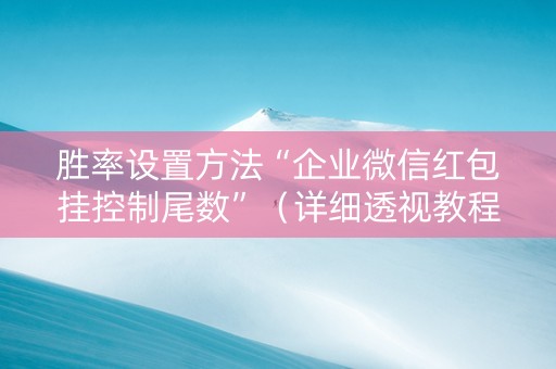 胜率设置方法“企业微信红包挂控制尾数”（详细透视教程）-哔哩哔哩