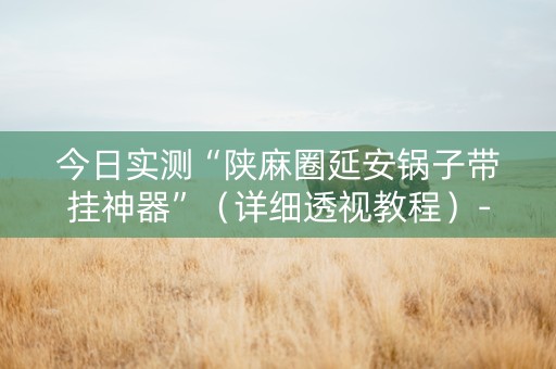 今日实测“陕麻圈延安锅子带挂神器”（详细透视教程）-哔哩哔哩