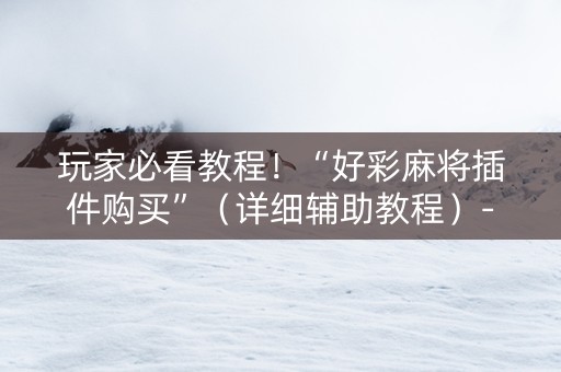 玩家必看教程！“好彩麻将插件购买”（详细辅助教程）-哔哩哔哩