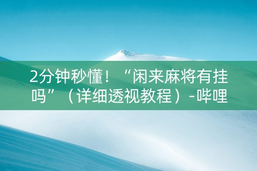 2分钟秒懂！“闲来麻将有挂吗”（详细透视教程）-哔哩哔哩