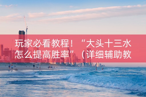 玩家必看教程！“大头十三水怎么提高胜率”（详细辅助教程）-哔哩哔哩