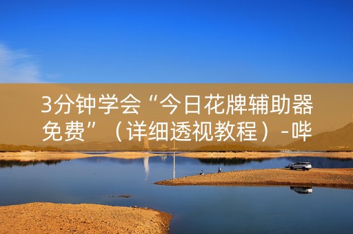 3分钟学会“今日花牌辅助器免费”（详细透视教程）-哔哩哔哩