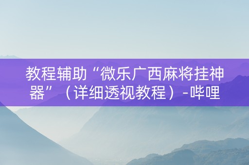 教程辅助“微乐广西麻将挂神器”（详细透视教程）-哔哩哔哩
