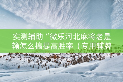 实测辅助“微乐河北麻将老是输怎么搞提高胜率（专用辅牌神器免安装）