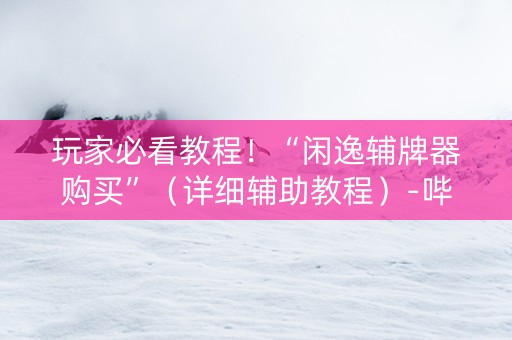 玩家必看教程！“闲逸辅牌器购买”（详细辅助教程）-哔哩哔哩