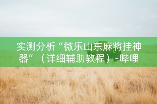 实测分析“微乐山东麻将挂神器”（详细辅助教程）-哔哩哔哩