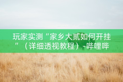 玩家实测“家乡大贰如何开挂”（详细透视教程）-哔哩哔哩