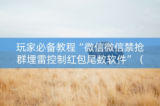 玩家必备教程“微信微信禁抢群埋雷控制红包尾数软件”（详细透视教程）-哔哩哔哩