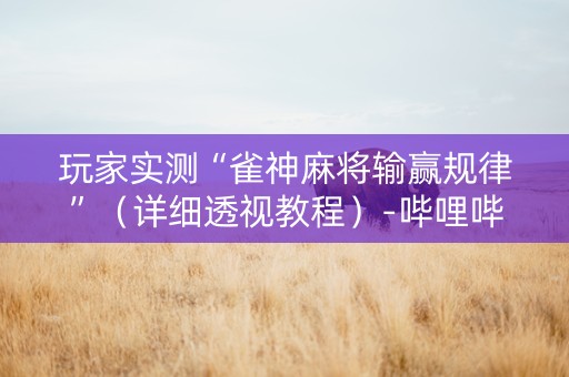玩家实测“雀神麻将输赢规律”（详细透视教程）-哔哩哔哩