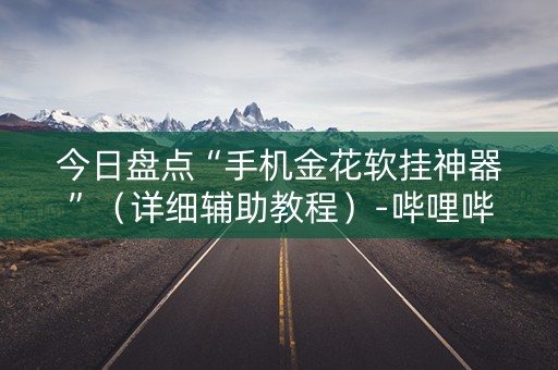 今日盘点“手机金花软挂神器”（详细辅助教程）-哔哩哔哩