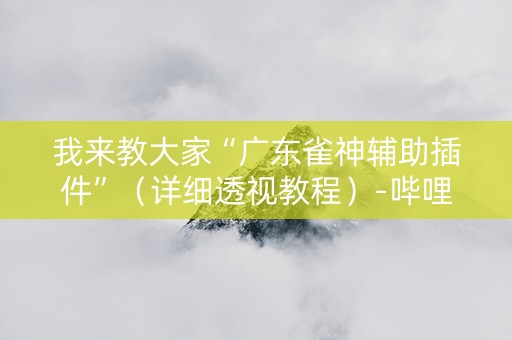 我来教大家“广东雀神辅助插件”（详细透视教程）-哔哩哔哩