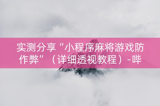实测分享“小程序麻将游戏防作弊”（详细透视教程）-哔哩哔哩
