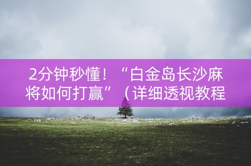 2分钟秒懂！“白金岛长沙麻将如何打赢”（详细透视教程）-哔哩哔哩