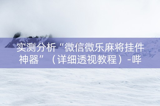 实测分析“微信微乐麻将挂件神器”（详细透视教程）-哔哩哔哩