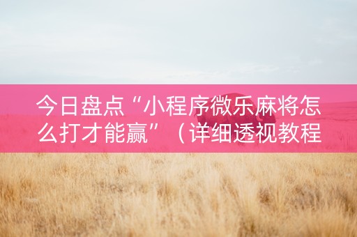 今日盘点“小程序微乐麻将怎么打才能赢”（详细透视教程）-哔哩哔哩