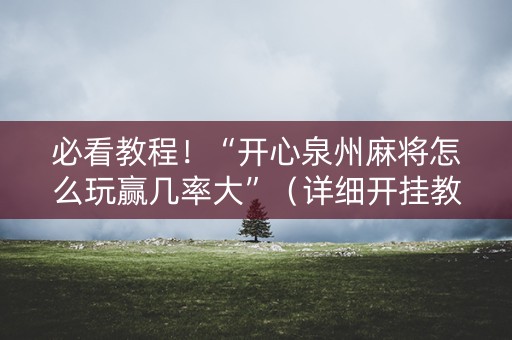 必看教程！“开心泉州麻将怎么玩赢几率大”（详细开挂教程）-哔哩哔哩
